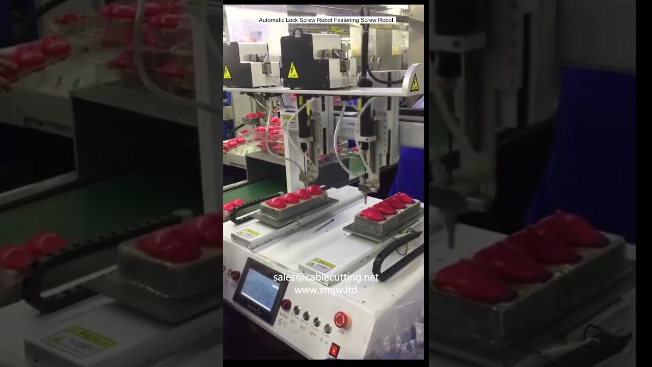 Automatyczny Robot do Wkręcania Śrub Zabezpieczających